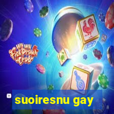 suoiresnu gay